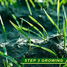 Load image into Gallery viewer, Biodegradable Grass Seed Mat