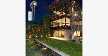 Load image into Gallery viewer, Outdoor Laser Light