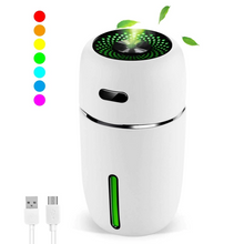 Load image into Gallery viewer, Mini Car Air Humidifier
