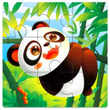 Load image into Gallery viewer, FALSE