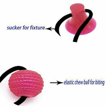 Load image into Gallery viewer, Multifunction Pet Molar Bite Toy Cleaning Teeth Safety Pets Supplies