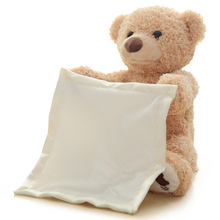 Load image into Gallery viewer, Peek-A-Boo Teddy Bear