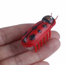 Load image into Gallery viewer, Amazing Robot Bug Toy For Cats