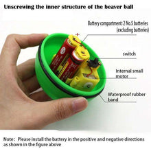 Load image into Gallery viewer, Electric Beaver Ball