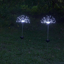 Load image into Gallery viewer, LED Solar Dandelion Lights
