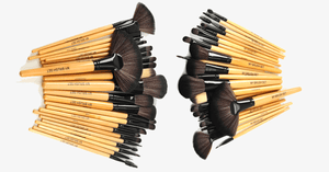 24 Piece Premium Wood Brush Set with Free Case